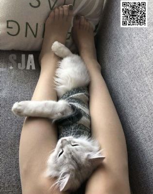 亚白AV老黄色_1080P在线视频播放