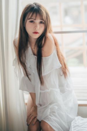 什么花语是陪伴守护_国产剧高清视频播放